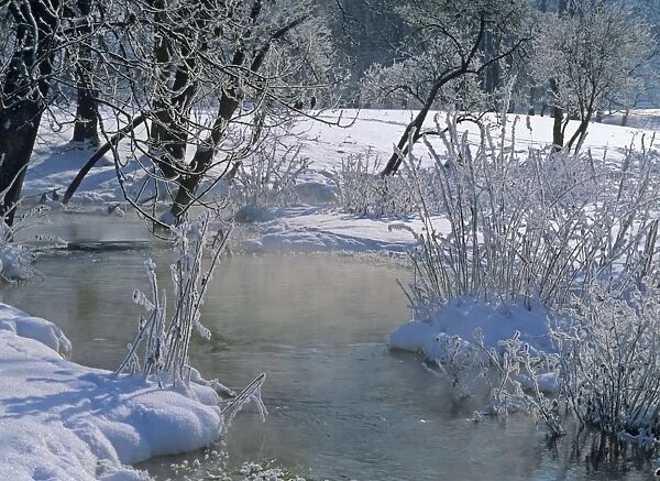 Winter scenery steaming brook flanked by frost-covered trees and shrubbery Baden-Wuerttemberg, Germany