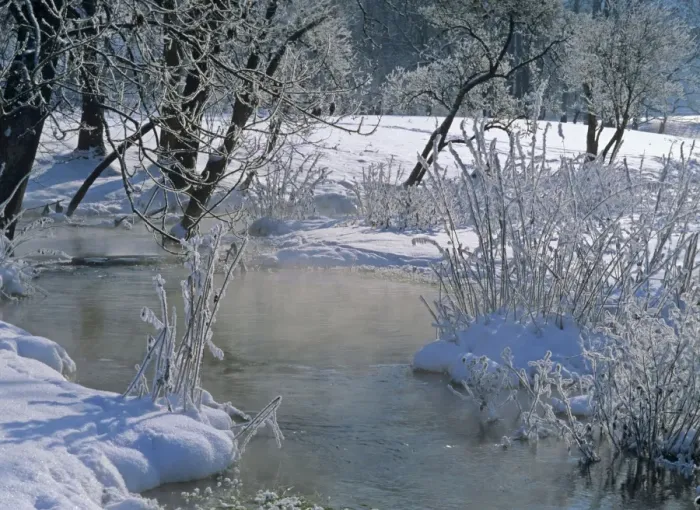 Framed Print : Winter scenery steaming brook flanked by frost-covered trees and shrubbery Baden-Wuerttemberg, Germany Framed Print : Winter scenery steaming brook flanked by frost-covered trees and shrubbery Baden-Wuerttemberg, Germany