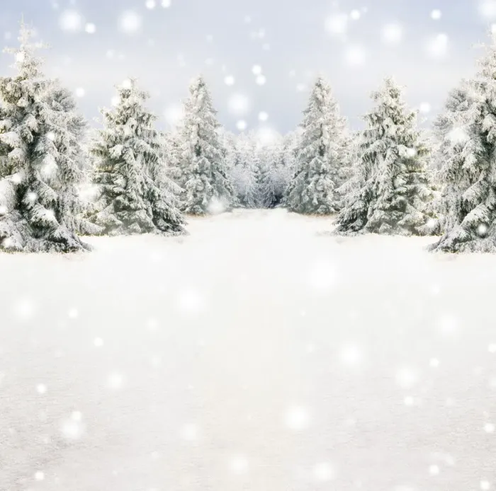 Framed Print : Winter snow scene with spruce trees and falling snow Framed Print : Winter snow scene with spruce trees and falling snow