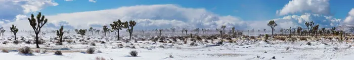 Framed Print : Winter storm, Joshua Tree National Park, California Date: 26-01-2020 Framed Print : Winter storm, Joshua Tree National Park, California Date: 26-01-2020