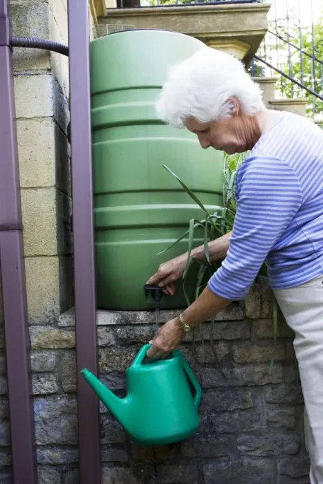 Framed Print : Woman filling watering can from rainwater butt. Cotswolds UK Framed Print : Woman filling watering can from rainwater butt. Cotswolds UK