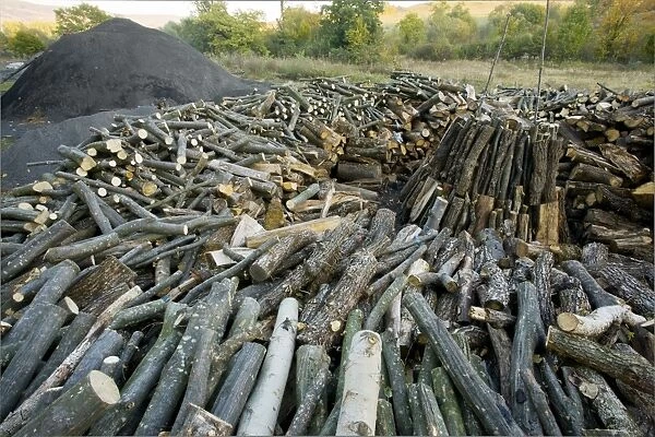 Wood-pile in the traditional charcoal-burner's yard at Viscri saxon village, Transylvania, Romania