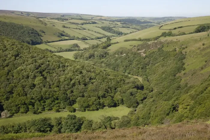 Framed Print : Wooded valley on Exmoor taken from Countrygate Country Park near Porlock Somerset UK Framed Print : Wooded valley on Exmoor taken from Countrygate Country Park near Porlock Somerset UK