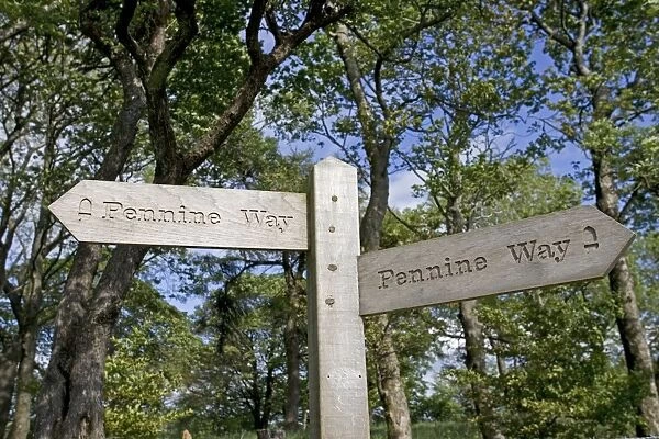 Wooden signpost Pennine Way Malham Tarn Yorkshire UK