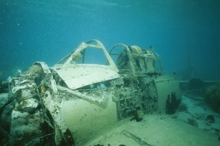 Framed Print : Wreck DOC 204 Japanese aircraft, Truck Lagoon, Indo Pacific. © Doc White / ardea. com Framed Print : Wreck DOC 204 Japanese aircraft, Truck Lagoon, Indo Pacific. © Doc White / ardea. com