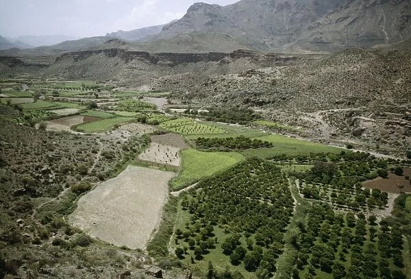 Yemen Agriculture. Wadi al Birayn