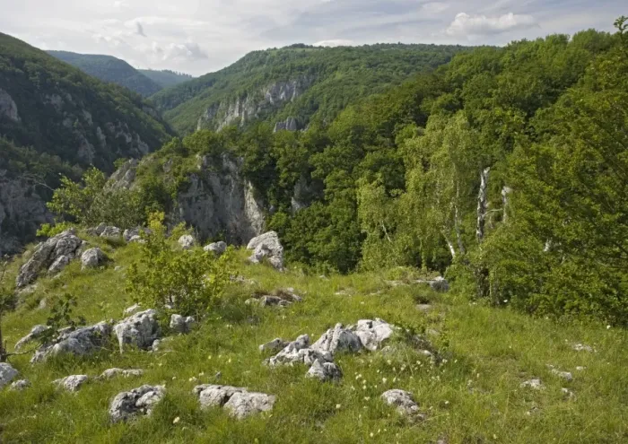 Framed Print : Zadielska gorge, within the Slovensky Kras National Park Framed Print : Zadielska gorge, within the Slovensky Kras National Park