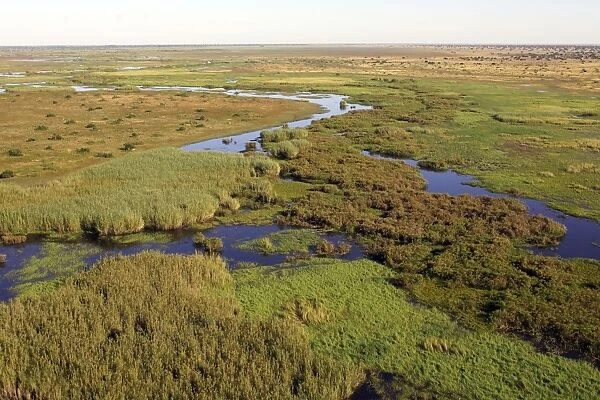 Zambia Bangweuleu marshes Zambia Africa