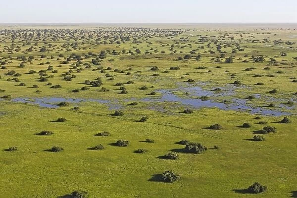 Zambia Bangweuleu marshes Zambia Africa