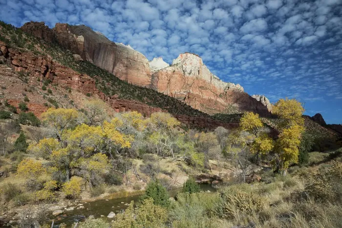 Framed Print : Zion National Park Date: 22-11-2020 Framed Print : Zion National Park Date: 22-11-2020