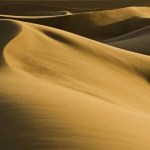 Abstract patterns of dunes in late afternoon light - Dune Fields - Namib Desert - Namibia - Africa