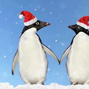Adelie Penguin - holding hands wearing Christmas hats - Brown Bluff - Antarctic Peninsula Digital Manipulation: montaged penguins, added sky/snow & hats (Su)