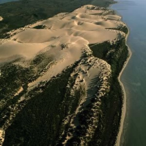 Aerial - Bellefin Prong sand dunes, Shark Bay Marine Park, Western Australia JPF44917