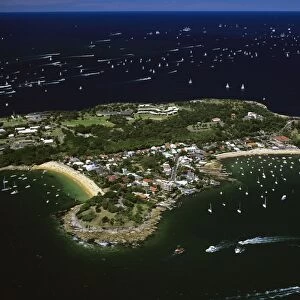 Aerial of Camp Cove, Laings Point and Watsons Bay during Tall Ships race, Sydney Harbour, New South Wales, Australia, Australia Day JPF45387
