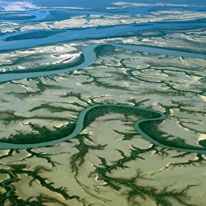 Aerial - Limmen Bight River, near the mouth with mangrove lined shores, Gulf of Carpentaria, Northern Territory, Australia JPF48271