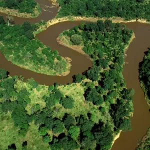 Aerial - Mara River - Masai Mara National Reserve - Kenya JFL17345