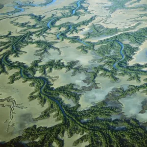 Aerial - Roper River delta with saline flats and mangrove-lined dendritic channels, Gulf of Carpentaria, Northern Territory, Australia JPF48305 Aerial - Roper River delta with saline flats and mangrove-lined dendritic channels, Gulf of Carpentaria, Northern Territory, Australia JPF48305