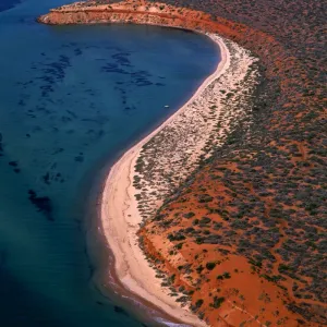 Aerial - Seagrass bed / dugong habitat at Cape Peron and Herald Bight Francois Peron National Park, Shark Bay Marine Park, Western Australia JPF43595