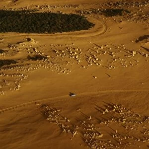 Aerial: ‘The Pinnacles limestone pillars formed underground by vertical seepage, and cemented by dissolved lime. Shifting sand dunes exposed pillars in the past 200 years, Nambung National Park, Western Australia JPF43772