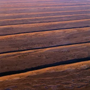 Aerial view - Dunefields, dunes and interdune corridors 30m+ high and rarely branched, Central-east Simpson Desert, South Australia, August 1997 JPF48132