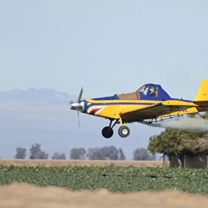Aeroplane - crop duster spraying agricultural fields in southern California in January - USA