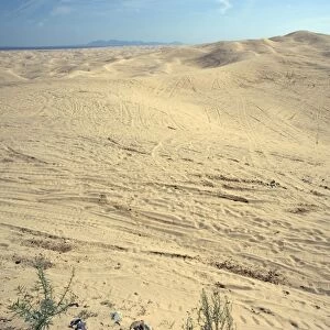 Algodones dunes - huge off-road vehicle recreation area, now devoid of vegetation. SE California, near Mexican border, USA