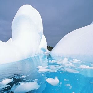 Antarctic RS 32 Iceberg melting © Robyn Stewart / ARDEA LONDON