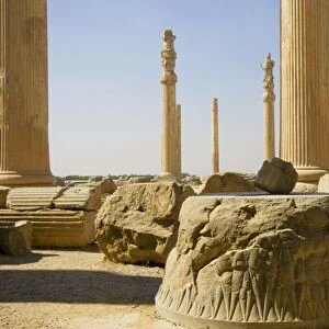 Apadana Palace, Persepolis, Iran. Remains of the original 72 columns of the Apadana Palace