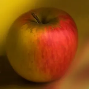 Apple - Queen of the pippins Apple - Queen of the pippins