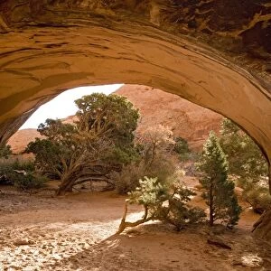 Arches National Park, Utah: Navajo Arch, Sandstone
