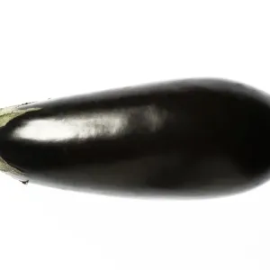 Aubergine / Egg Plant Aubergine / Egg Plant