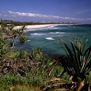 Australia - Looking north to the natural ocean beach with Pandanus headland vegetation and Coolangatta / Tweed heads in the background. The international tourist industry in the region relies on the good condition of the mountains, coast