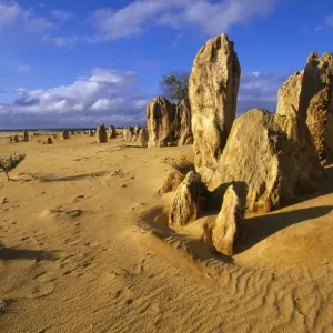 Australia The Pinnacles desert, Nambung National Park, Western Australia Australia The Pinnacles desert, Nambung National Park, Western Australia