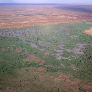 Australia - seasonal swamp by Old Andado station, Simpson Desert, Northern Territory