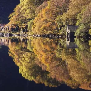 Autumn colours and Boat houses reflections in Llyn Dinas - October - Snowdonia - North Wales Autumn colours and Boat houses reflections in Llyn Dinas - October - Snowdonia - North Wales