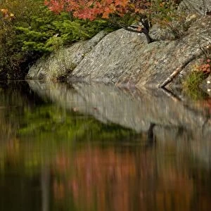 Autumn leaves reflected in water - Adirondack Mountains - New York - USA