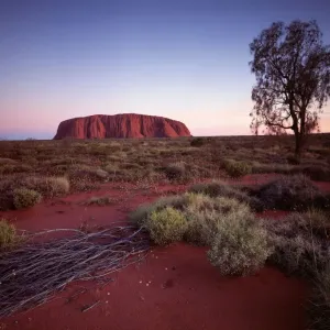Ayers Rock JLR 65 Known as Uluru by Aboriginal people Central Australia © Jean-Marc La-Roque / ardea. com Ayers Rock JLR 65 Known as Uluru by Aboriginal people Central Australia © Jean-Marc La-Roque / ardea. com