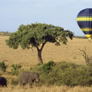 Balloon Safari Masai Mara, Kenya, Africa Balloon Safari Masai Mara, Kenya, Africa