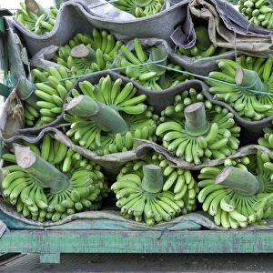 Bananas - loaded and ready for shipment - February - Tenerife