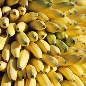 Bananas - for sale in Chania Market - Crete