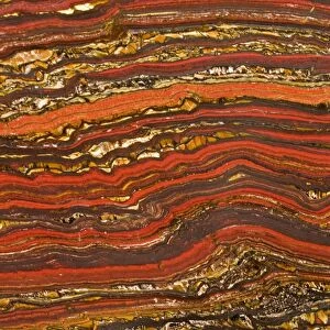 Banded Iron - Sedimentary Rock, (red rock is Jasper), Australia