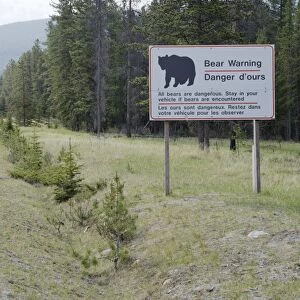 Bear warning sign - Jasper National Park - Canadian Rocky Mountains - Alberta - Canada MA002154