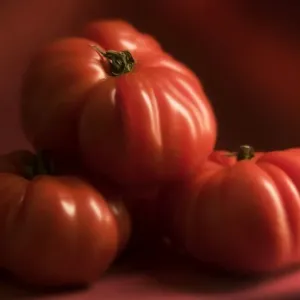 Beef Tomatoes - three Beef Tomatoes - three