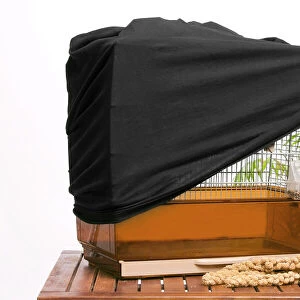 Bird cage - with protective / night cover
