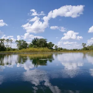 Botswana CRH 513 Okavango Lagoon © Chris Harvey / ARDEA LONDON