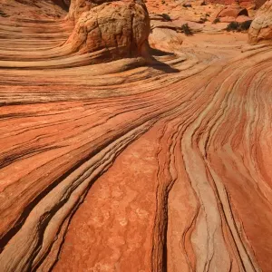 Brainrocks - carved rock made of jurrasic-age Navajo Sandstone that is approximately 190 millions old - Coyote Buttes North - Vermillion Cliffs - Grand Staircase Escalante National Monument - Utah - USA Brainrocks - carved rock made of jurrasic-age Navajo Sandstone that is approximately 190 millions old - Coyote Buttes North - Vermillion Cliffs - Grand Staircase Escalante National Monument - Utah - USA
