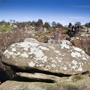 Brimham Rocks - Yorkshire Dales - UK