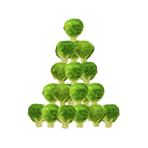 Brussel Sprout - in Christmas tree shape
