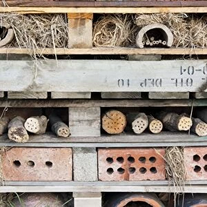 Bug box - elaborate hibernaculum for insects. England, UK
