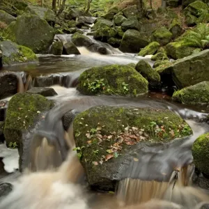 Burbage brook running through Padley Gorge - Derbyshire - England Burbage brook running through Padley Gorge - Derbyshire - England